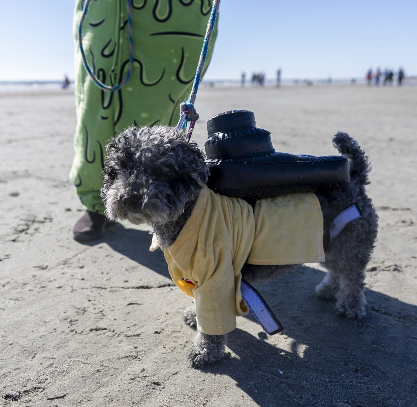 Charleston-area beaches update leash hours starting Oct. 1