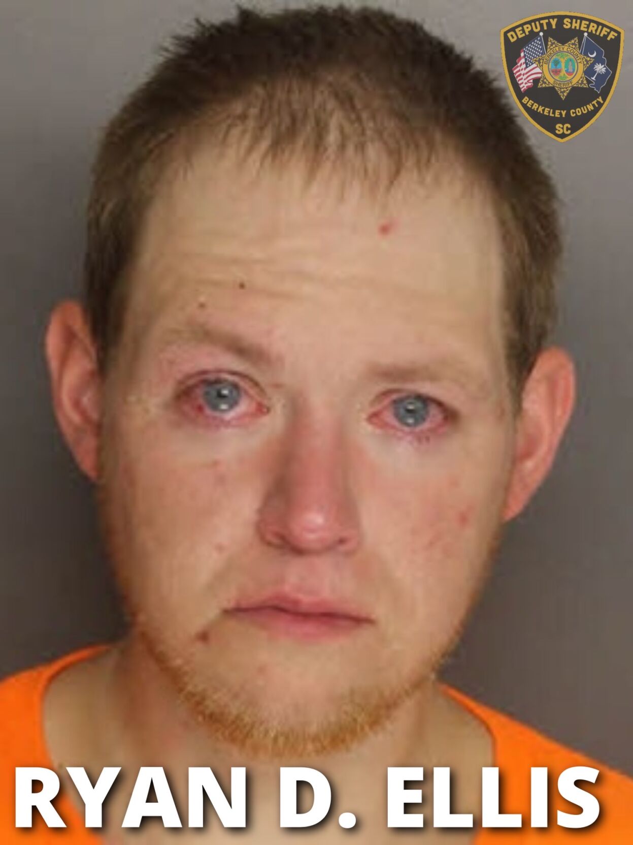 Berkeley County Arrest Inmate Search - jd1tigf