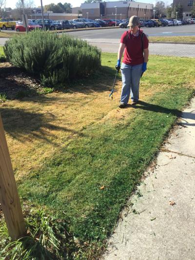 Turf Paint Can Turn Tan Dormant Grass Into A Green Lawn
