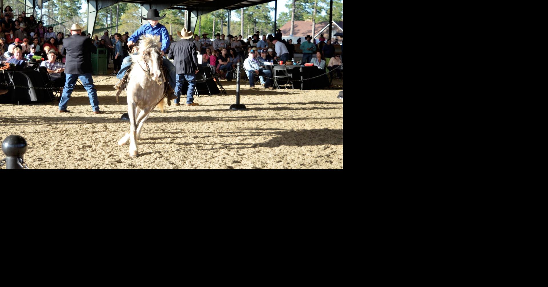 Southern Belle Classic horse auction held at Aiken's Stable View Farms