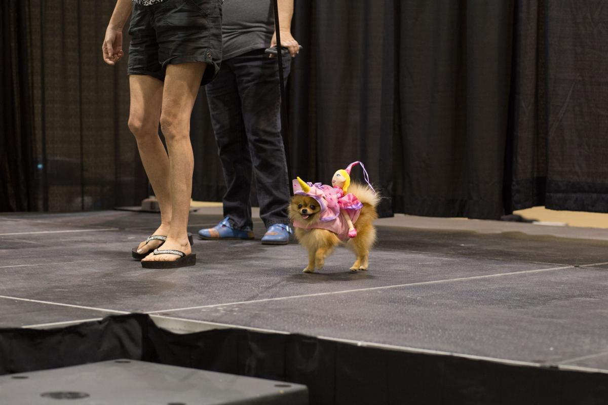 Pet Expo-October 14, 2017-906