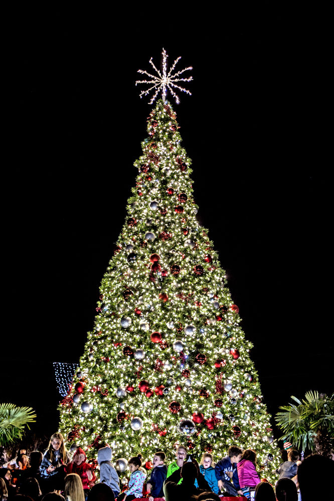 Daniel Island Christmas Festival 2022 Holiday Events Calendar | Features | Postandcourier.com