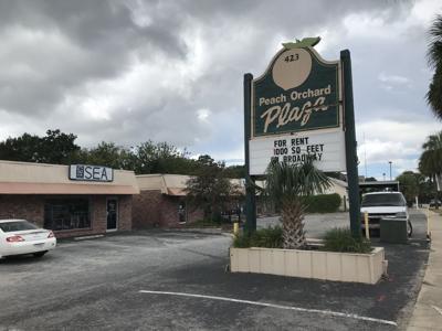 Peach Orchard Plaza