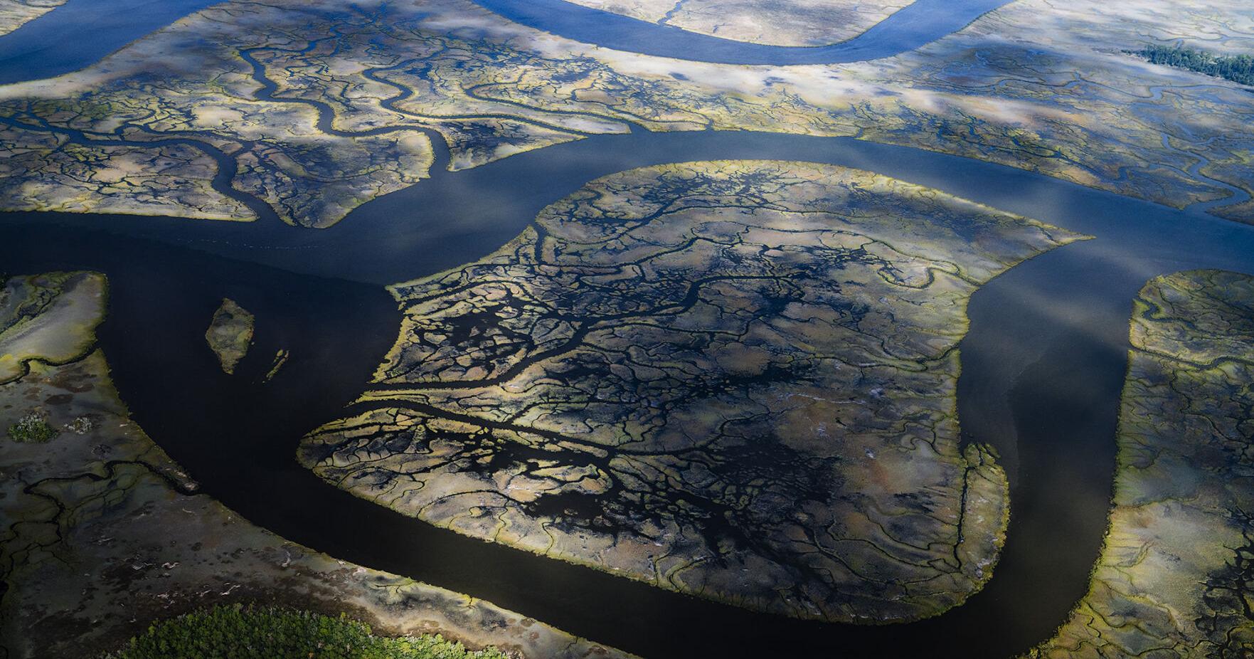 South Carolina estuaries feel the heat as oceans warm | SC Climate and Environment News - Vimarsana News