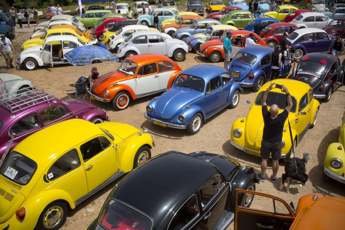 Israel Beetle
