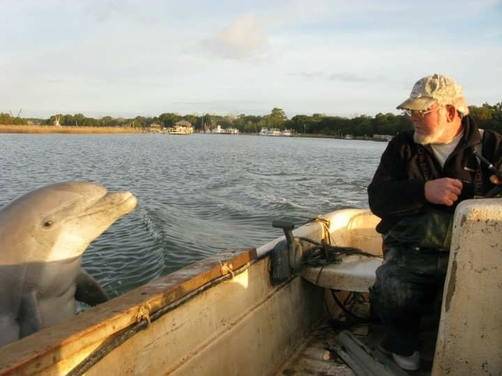 Penny-Bruns Dolphins.jpg