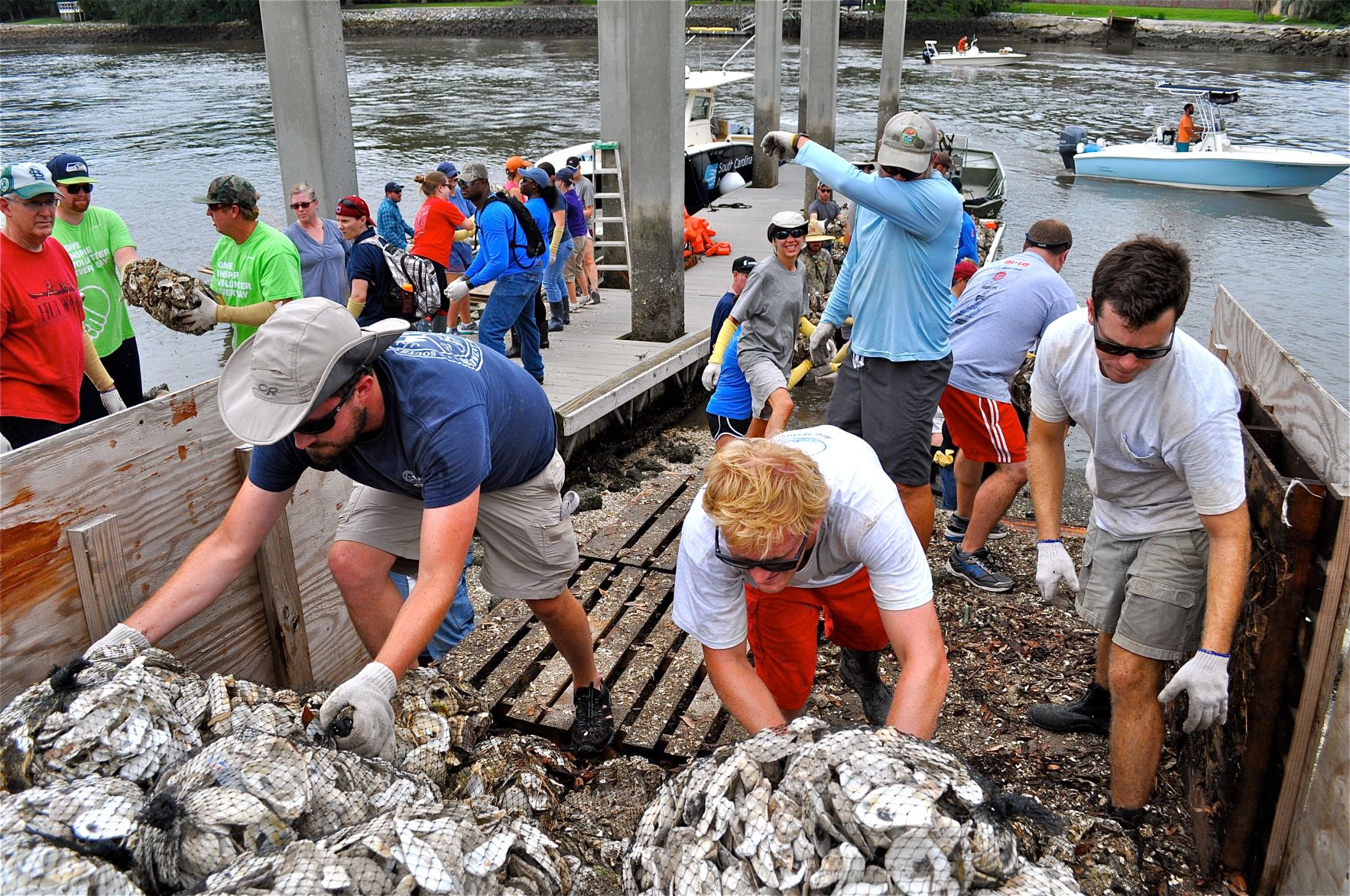 Program Uses Human-built 'oyster Reefs' To Repair Lowcountry Marsh ...