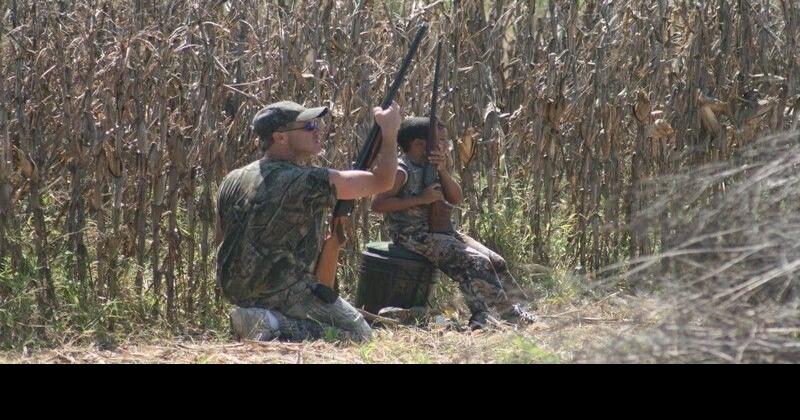 SC dove season opens in September: 'A big weekend for hunters