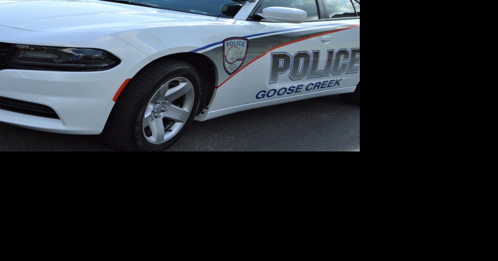 Goose Creek police officer fired after he fled scene of a car crash, documents reveal