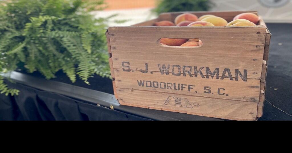 From farm to factory BMW's new Woodruff battery plant replaces family