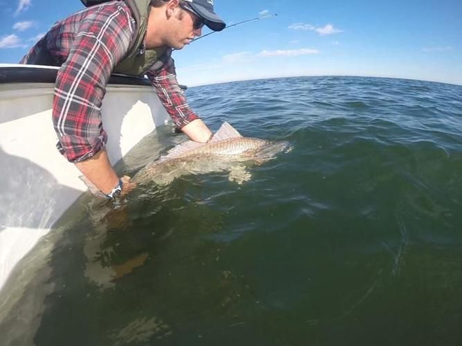 Protecting redfish: Treat those big bull reds with respect