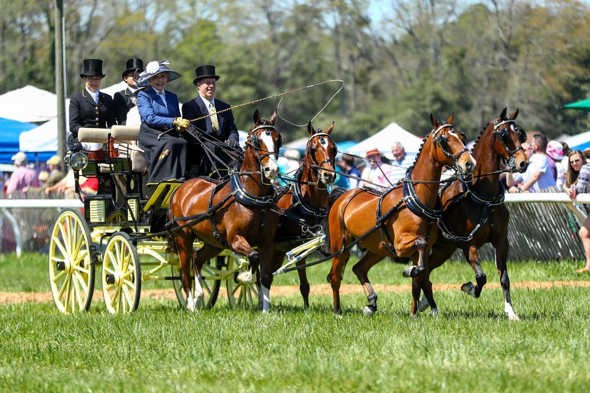 Aiken Spring Steeplechase Races and more Photo Galleries