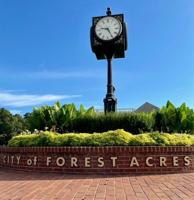 Forest Acres' fears over property values ​​are prompting Richland County to reconsider zoning changes