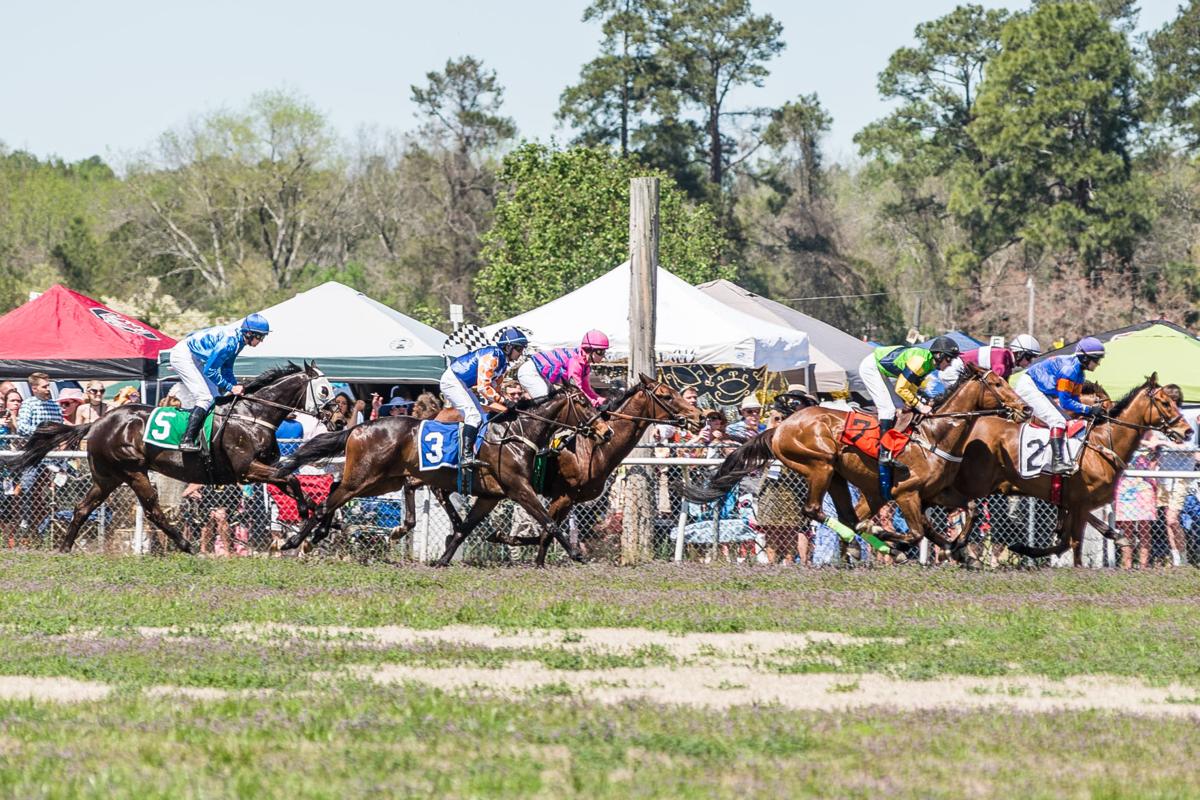 Annual Carolina Cup horse race in Camden