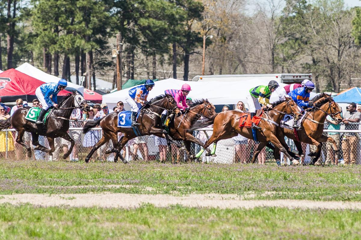 Annual Carolina Cup horse race in Camden
