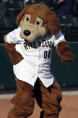 DJ Norwood III - Backup Mascot - Charleston RiverDogs