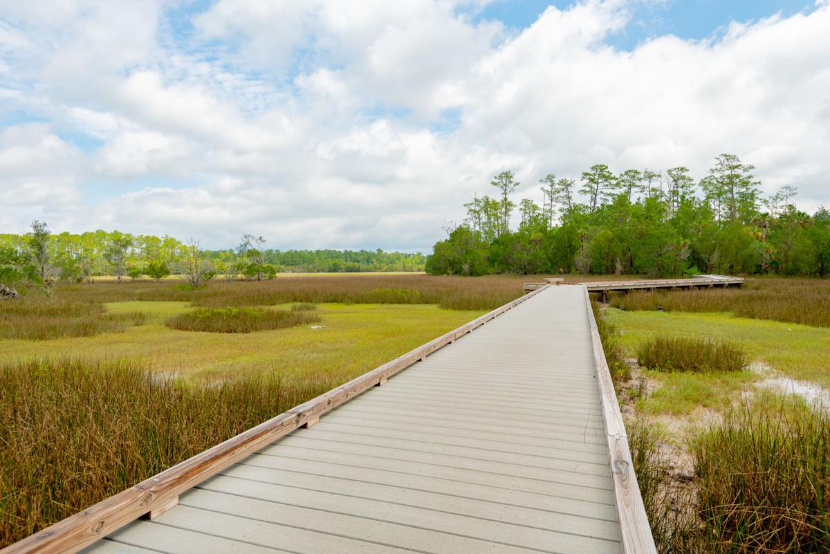 Charleston-area parks boast beaches, water parks and much more