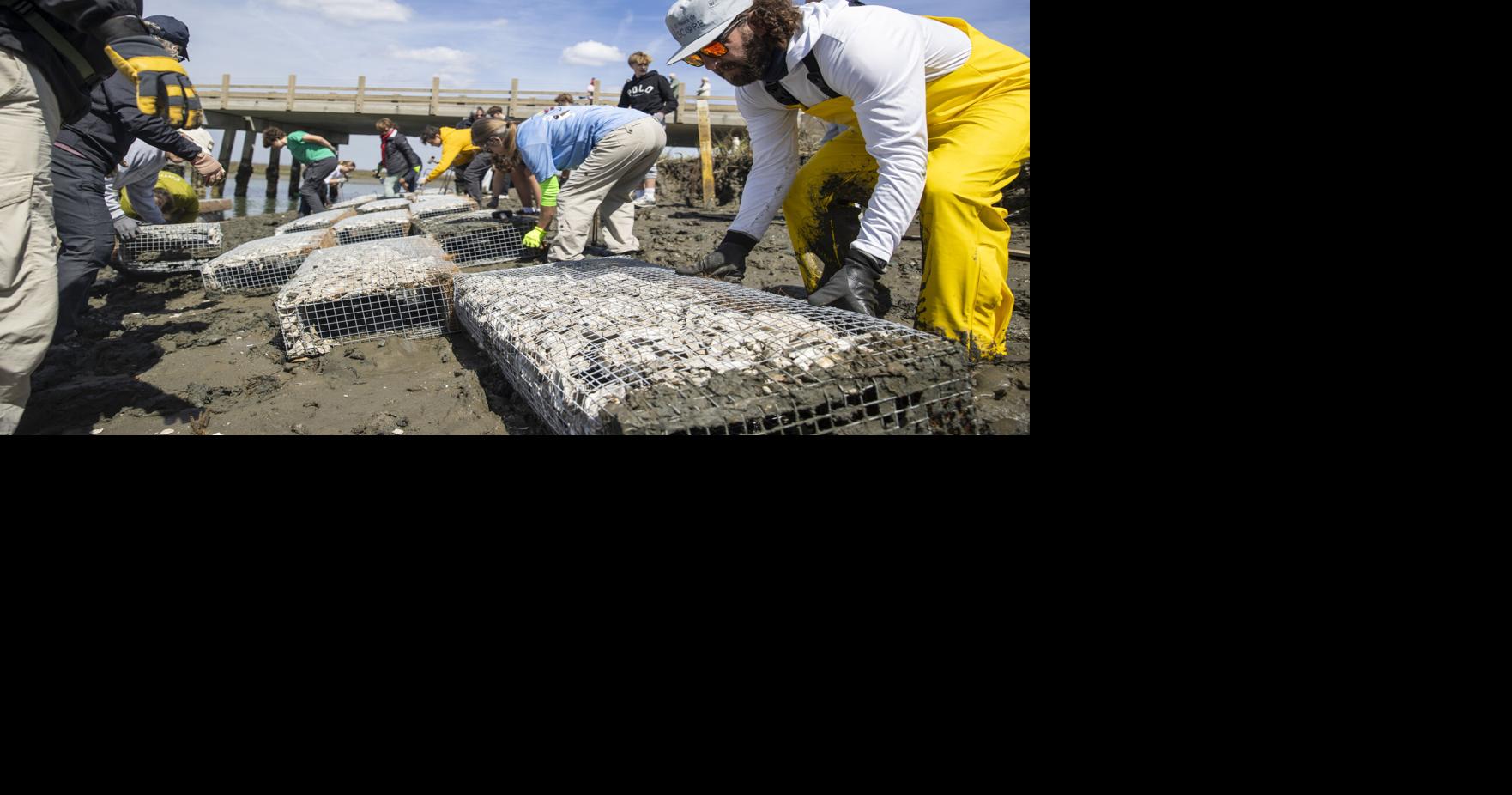 ‘Hundreds of miles’ of South Carolina’s roads are at risk of flooding. That total is rising.