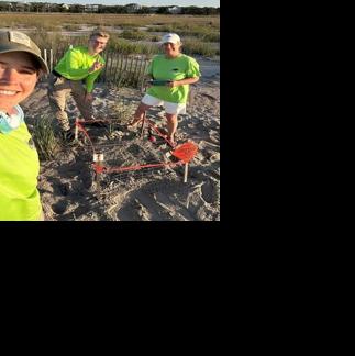 First sea turtle nests of 2026 reported in South Carolina