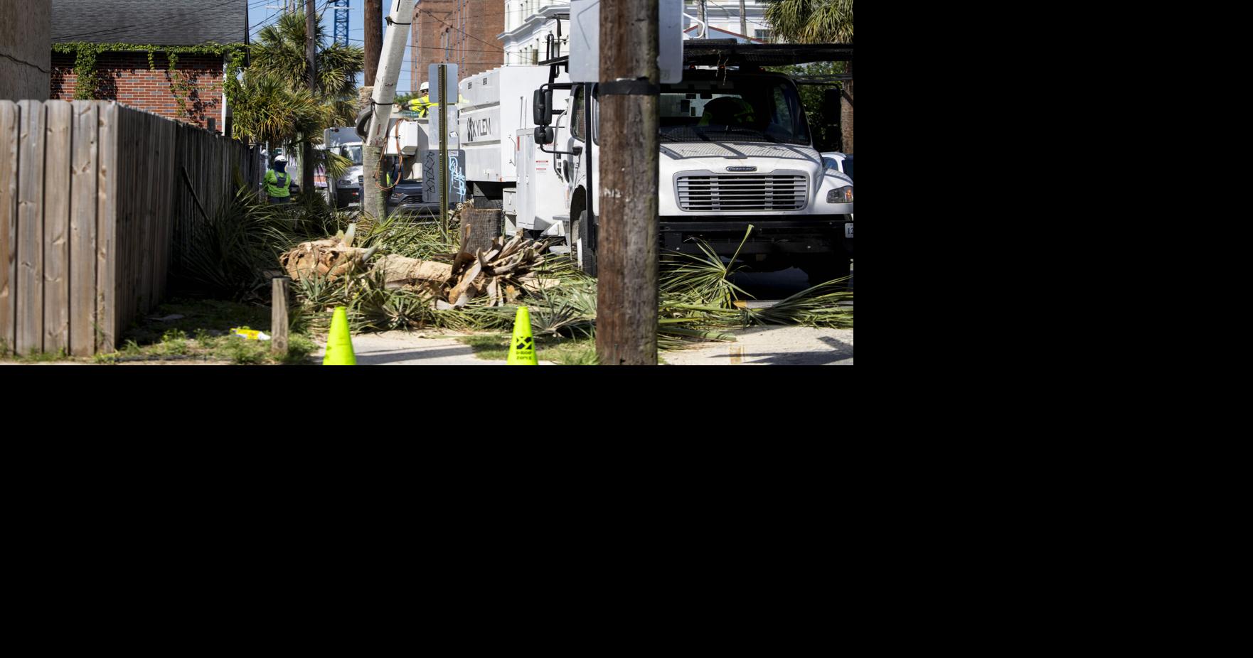 Dominion Energy Removes Hazardous Palmetto Trees in Charleston — image 2