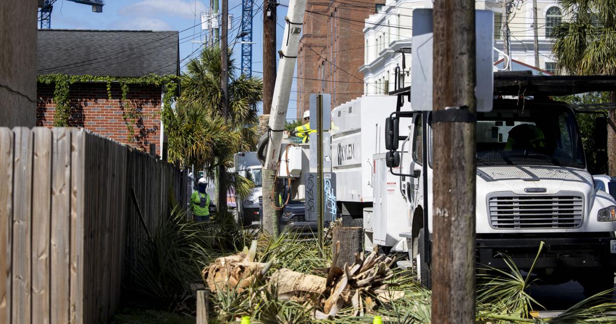 Dominion Energy Removes Hazardous Palmetto Trees in Charleston — image 2