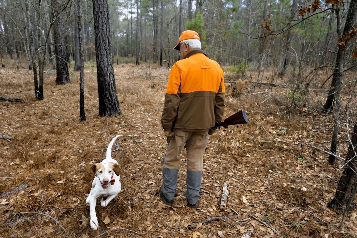 Bird Hunting