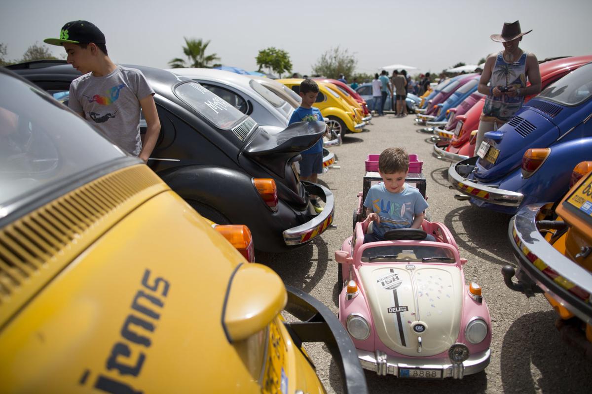 Israel Beetle