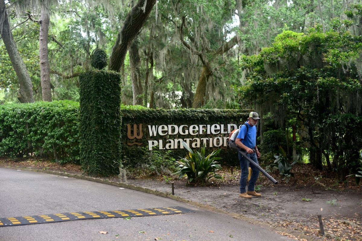 Wedgefield Plantation