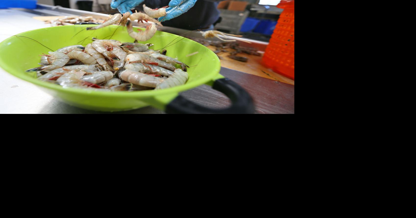 Gullah Geechee Seafood Trail being created in SC and eventually beyond