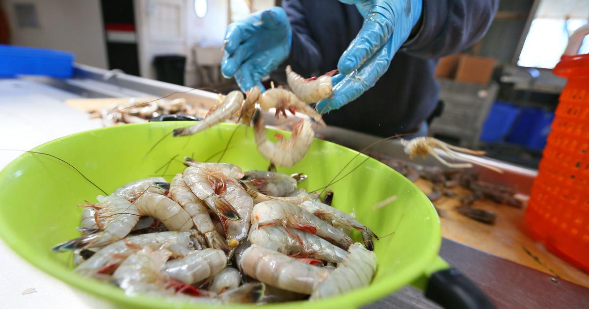 Gullah Geechee Seafood Trail being created in SC and eventually beyond
