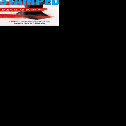 Judge declines to reshelve banned book in Pickens County lawsuit