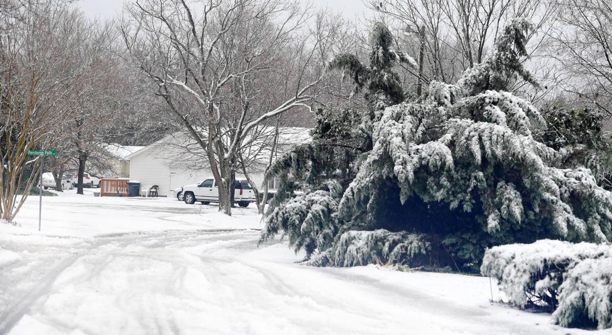 Winter storm brings snow, ice to South Carolina's Upstate Photos from
