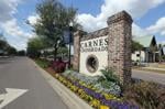 55-plus community slated for Carnes Crossroads in Goose Creek