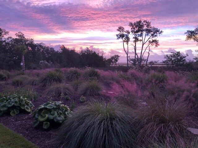 Purple skies