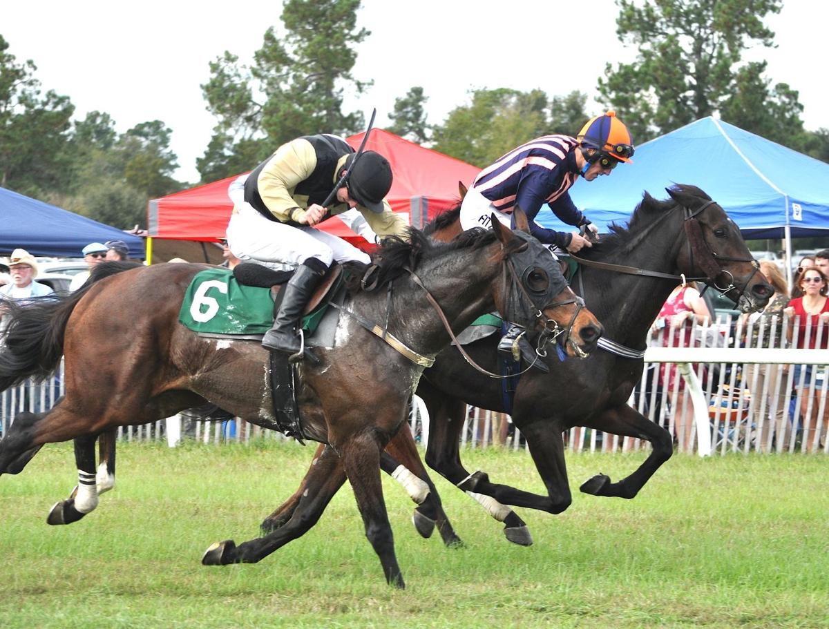 Aiken Fall Steepelchase to offer equine competition, shopping and trick-or-treating at Bruce's Field 1