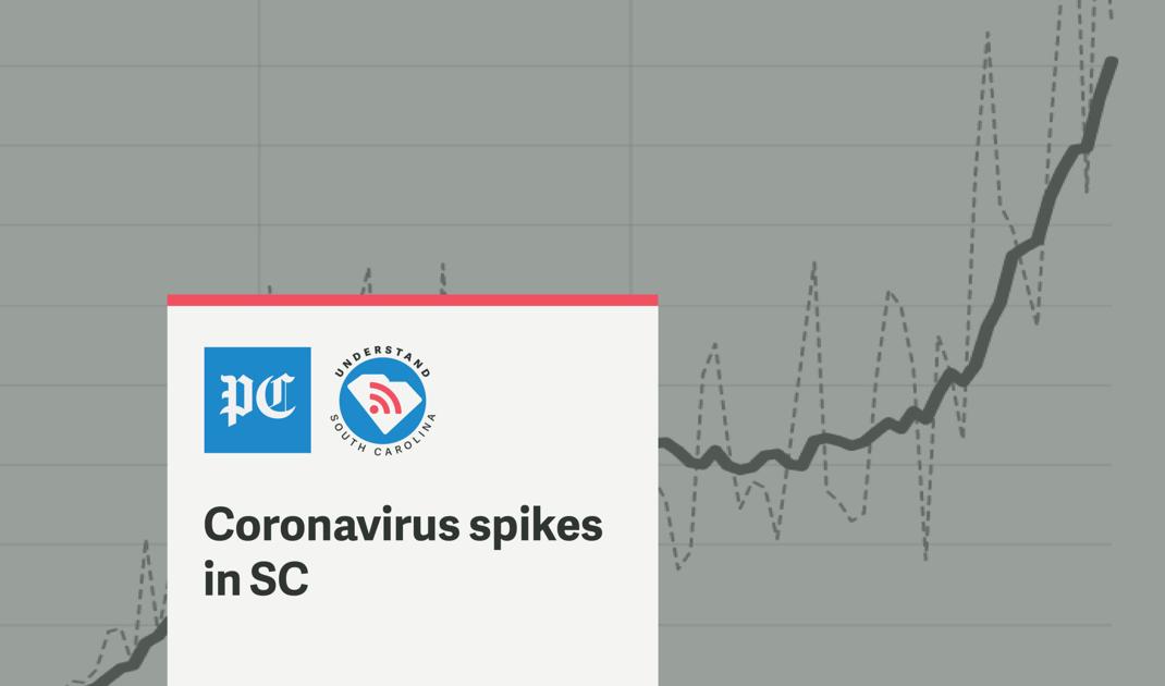 Understand SC: The recent increase in coronavirus cases in South Carolina |  Understand SC