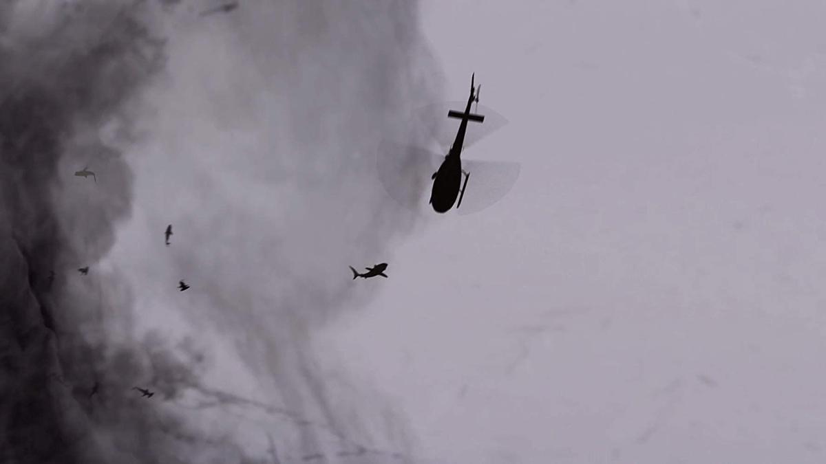 Head 2 Head Trivia Cruising The Seas For Sharks Postandcourier Com