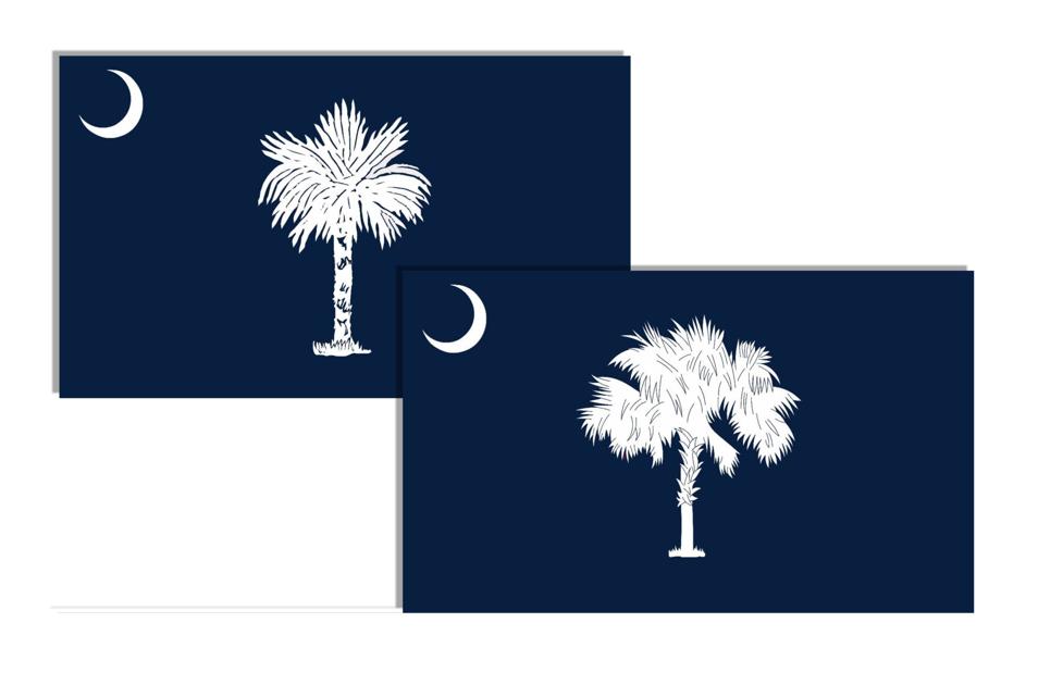New design of the flag of the state of SC now in the hands of legislators who have 2 options |  Columbia