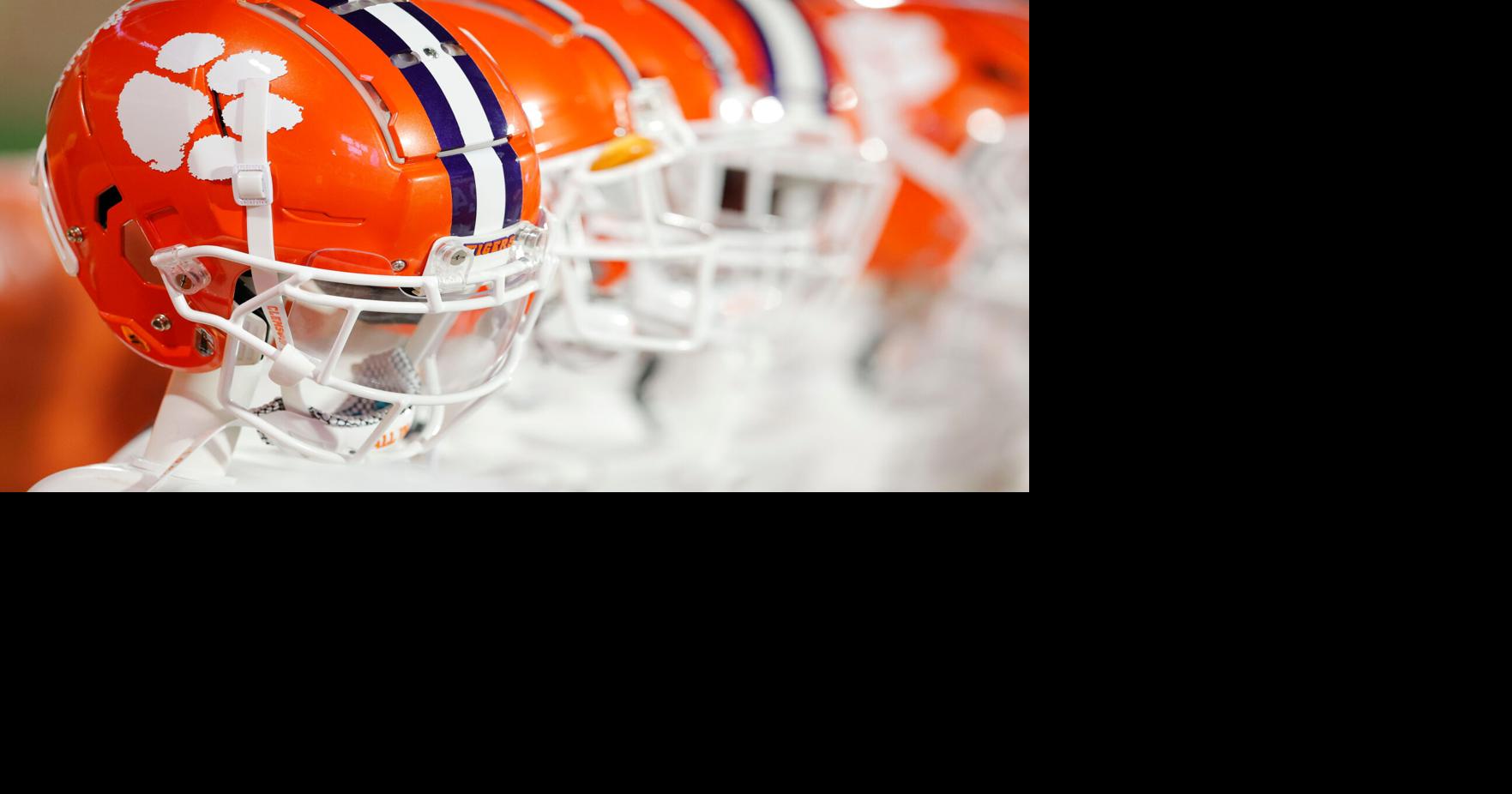Coverage image for: Clemson, Georgia cancel future football series, per report