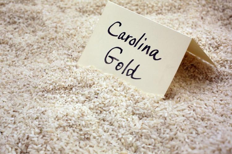 Photos Carolina Gold Rice Foundation works to restore heirloom