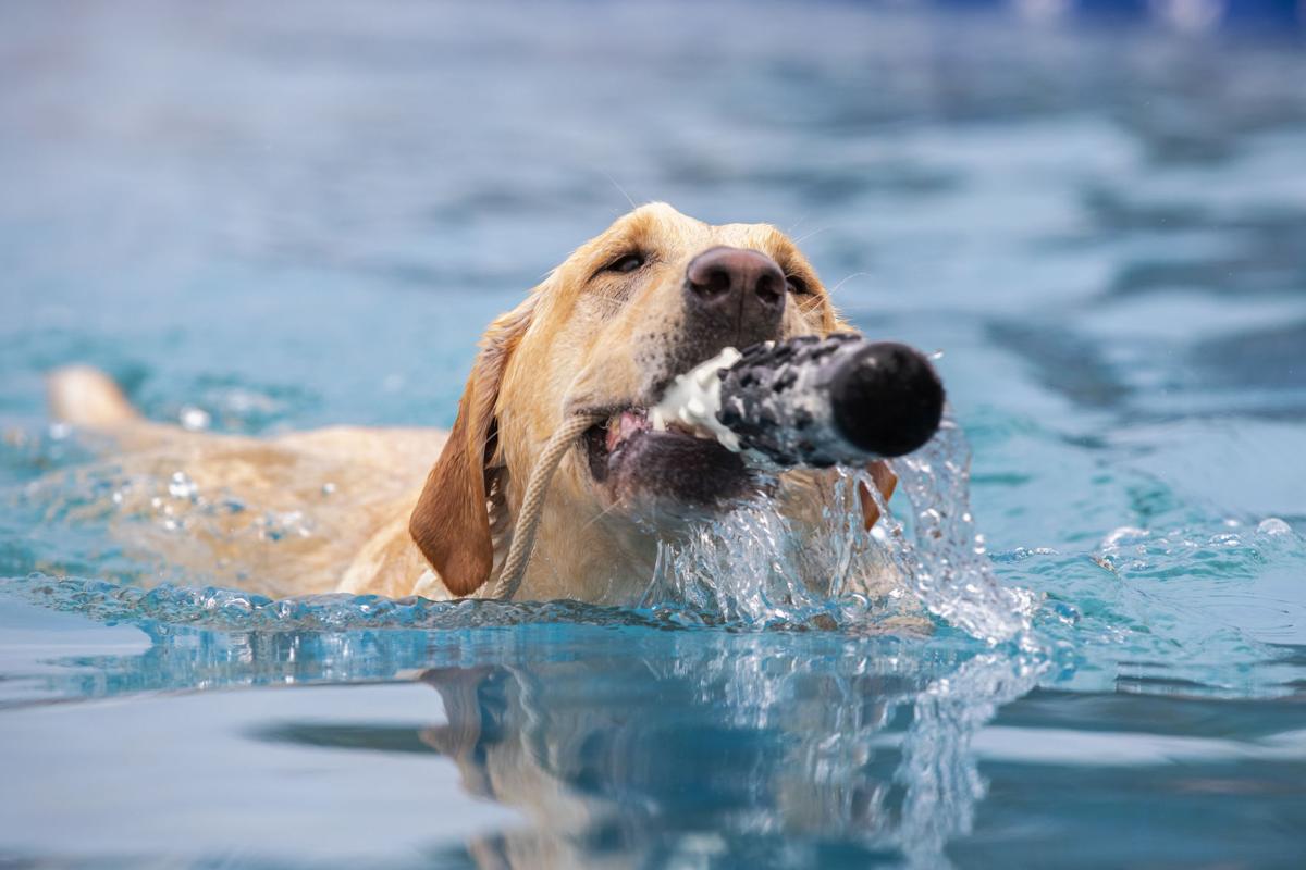 swimming.jpg