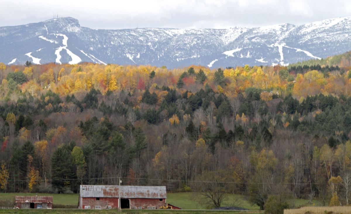 Stowe Living: The First Company North of Charleston to Bring in Smithe