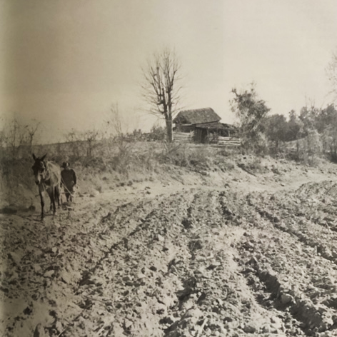 Pinopolis Basin's people after the war | Community News - Vimarsana News