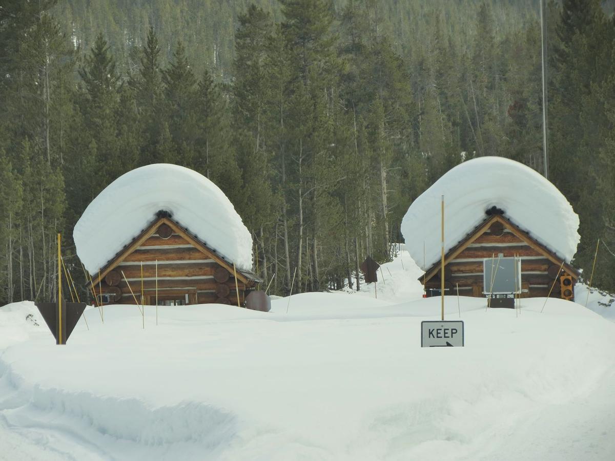 Robert-Peterson Snow.JPG