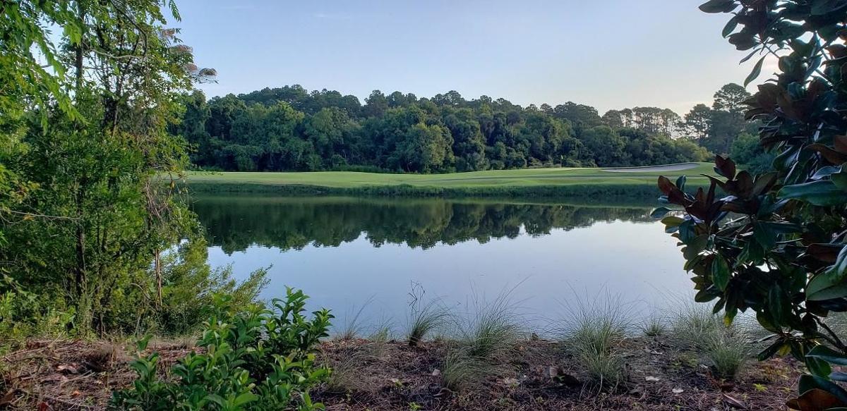 Johns Island Homes Lots And Lovely Landscapes Draw Buyers In To Stay Business Postandcourier Com