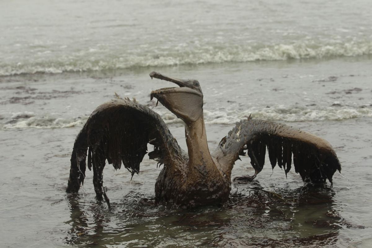 Gulf Oil Spill anniversary