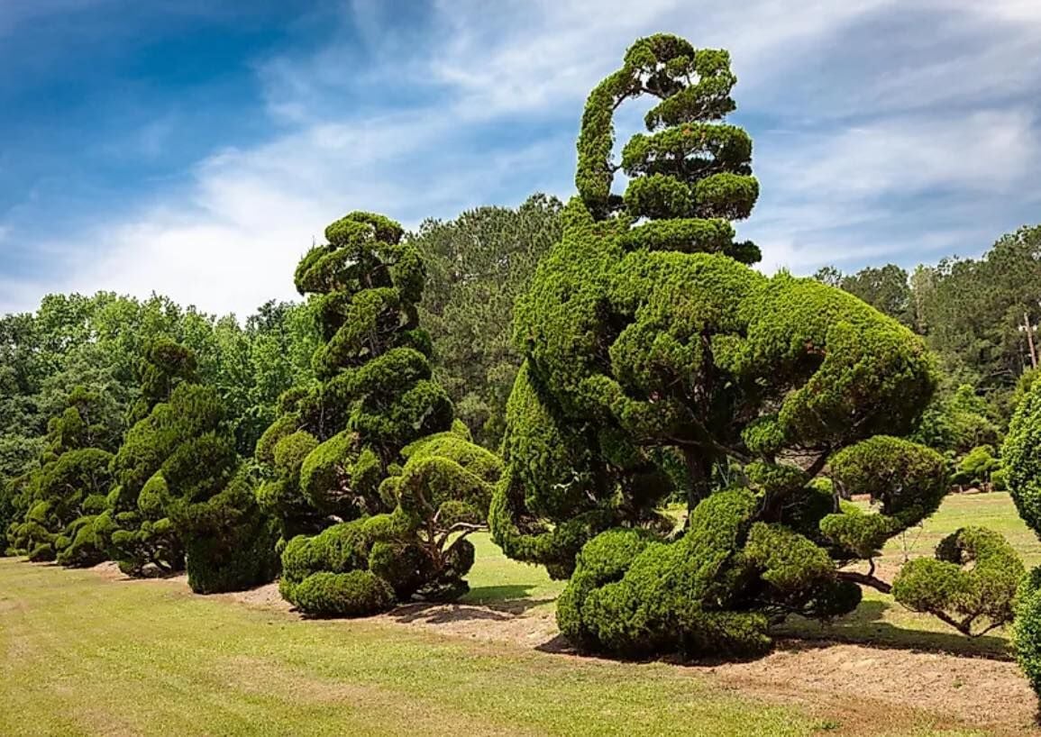 SC, topiary artist Pear Fryar has died