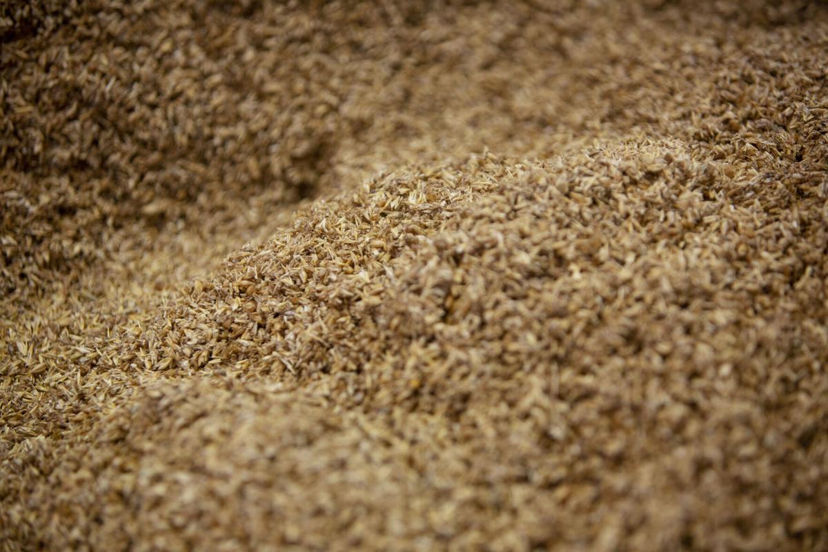 brewlab_10.jpg