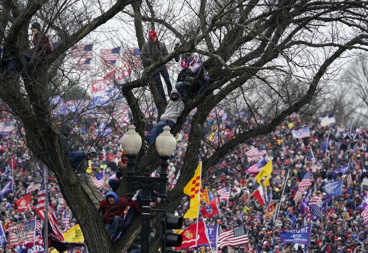 Trump Electoral College Protests