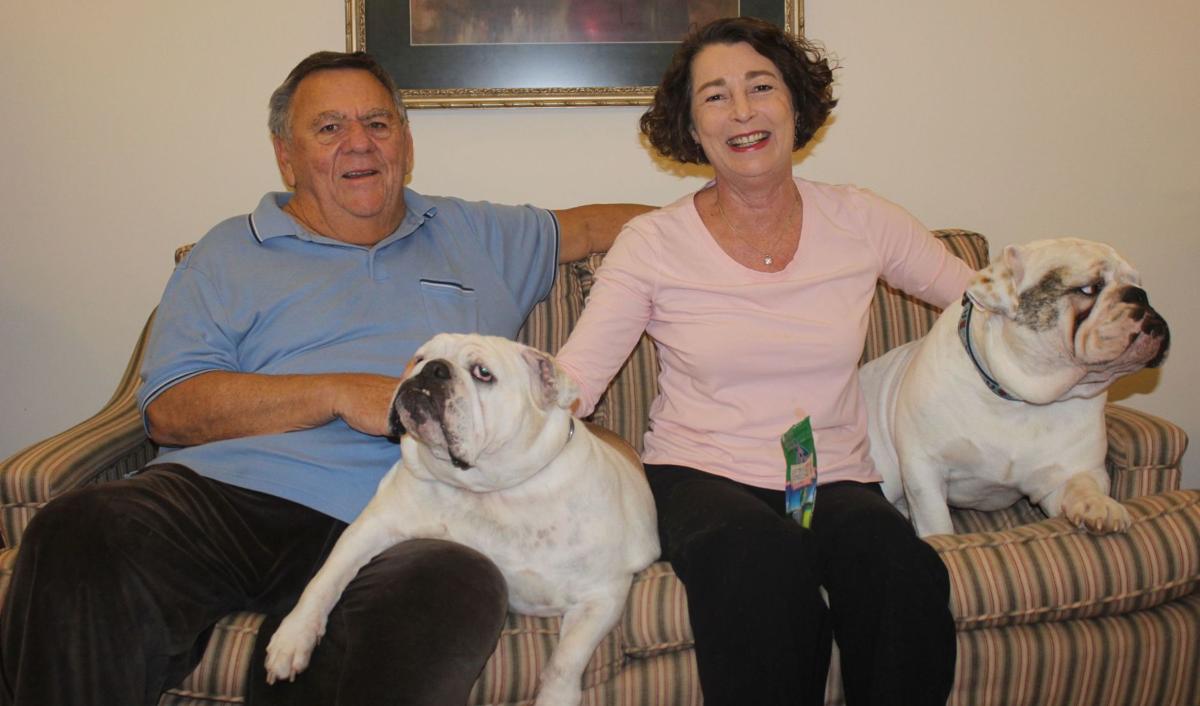 Salute News Postandcourier Com